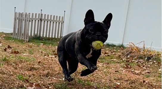 Inserting any fantasy text or a famous text, 