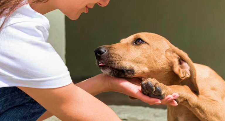 Inserting any fantasy text or a famous text, 