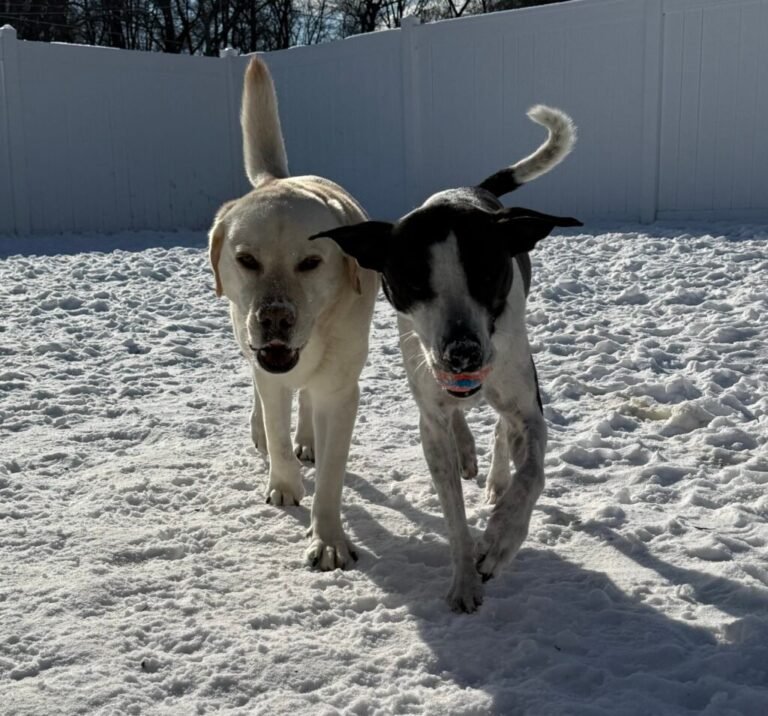 Effective Blog Promotion: Strategies to Increase Your Reach