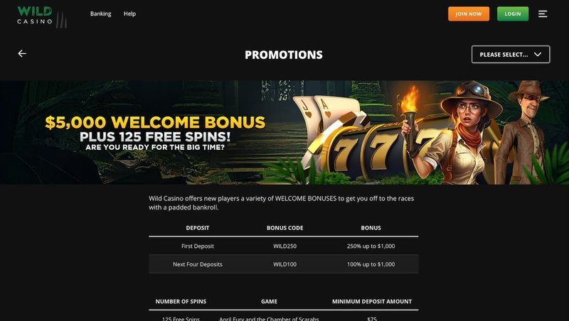 Lolajack casino, lolajack